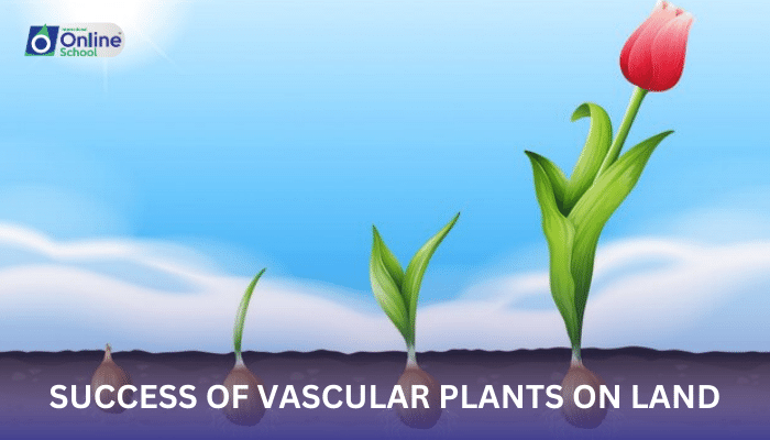 Lesson 11: Success of Vascular Plants on Land